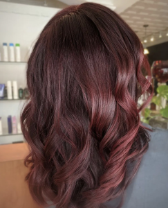 What's Trending: Fall Hair Color Predictions - Aveda Arts & Sciences  Institutes