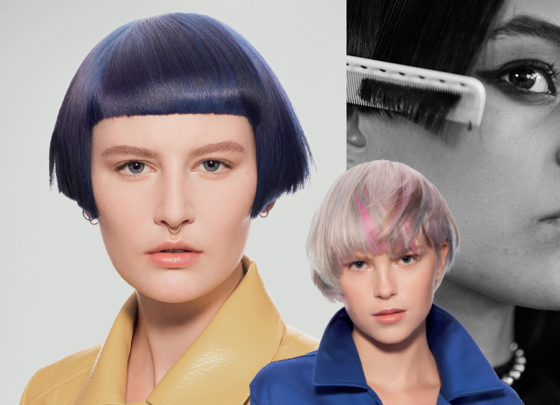 What is Sassoon Connect? and Why It Matters for Your Education